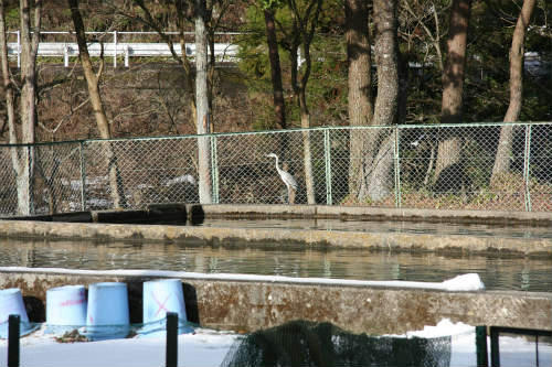 20091220_2.jpg
