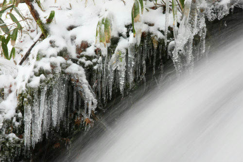 20091219_7.jpg