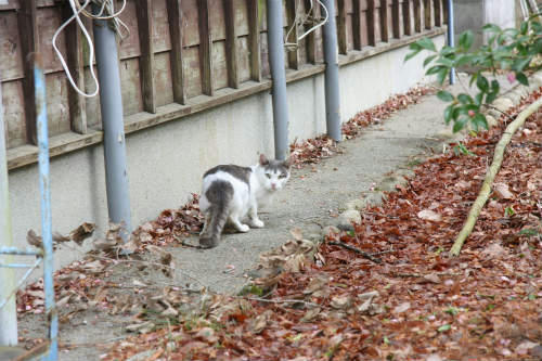 20091223_3.jpg