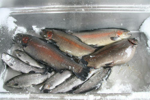20100101_2.jpg