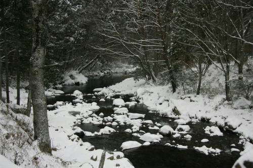 20100101_4.jpg
