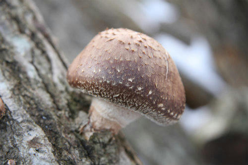 20100106_2.jpg