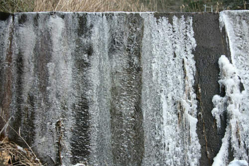 20100116_3.jpg