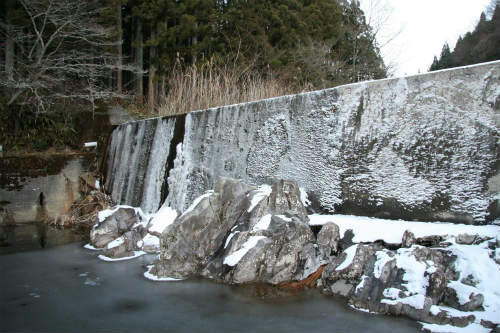 20100116_2.jpg