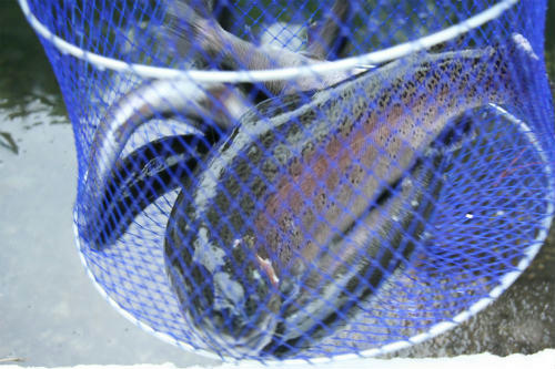20100114_2.jpg