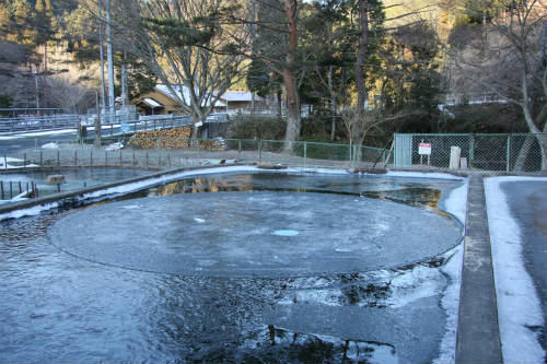 20100118_7.jpg