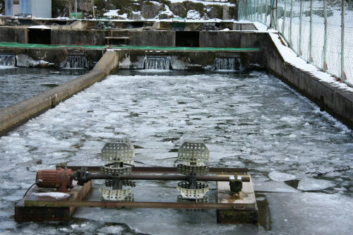 20100118_10.jpg