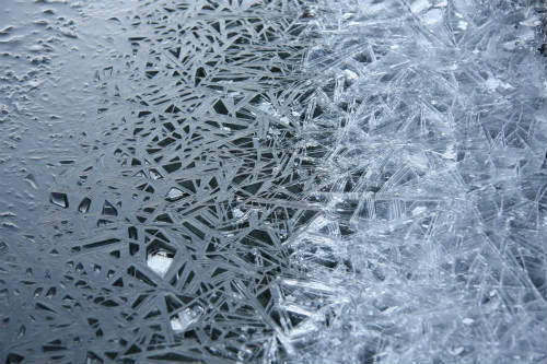 20100118_9.jpg