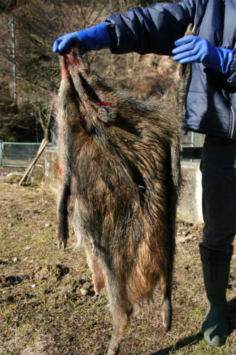 20100125_1.jpg