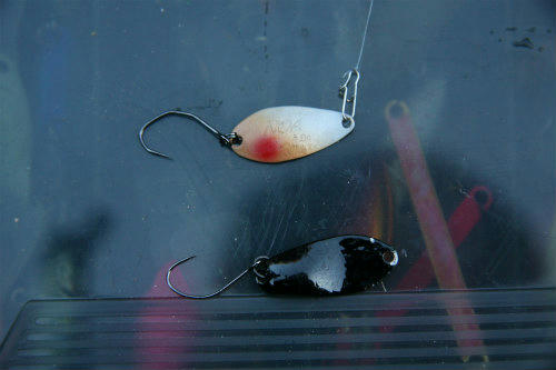 20100126_2.jpg