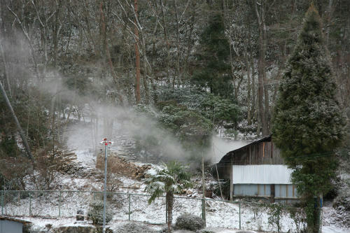 20100205_1.jpg