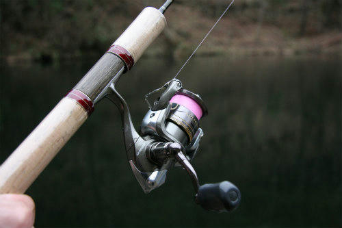 20100210_2.jpg