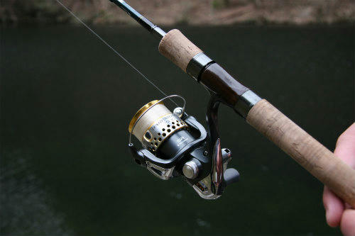 20100203_3.jpg