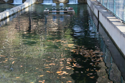 20100220_2.jpg