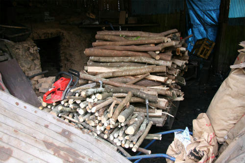 20100225_1.jpg
