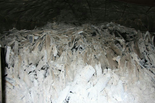 20100220_4.jpg
