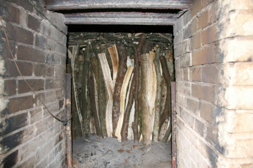20100225_2.jpg