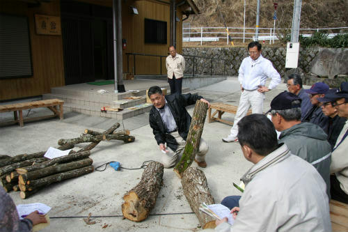 20100227_4.jpg