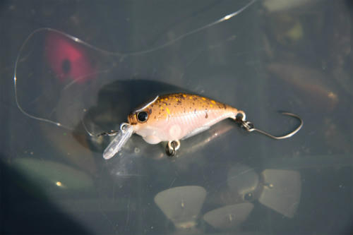 20100228_2.jpg