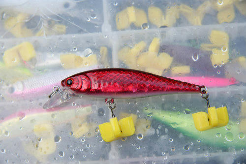 20100310_3.jpg