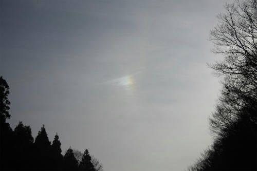 20100301_1.jpg