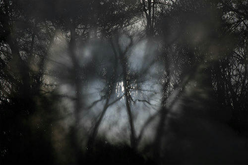 20100301_2.jpg