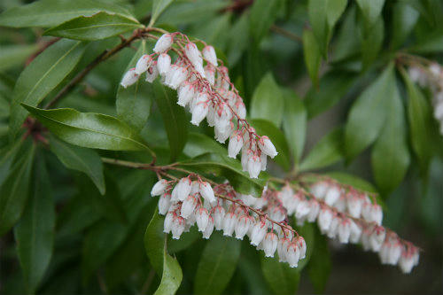 20100313_1.jpg