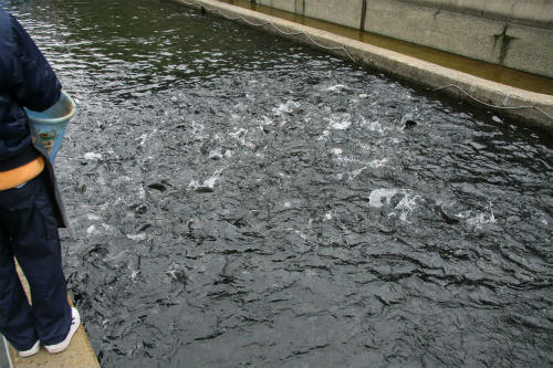 20100313_2.jpg