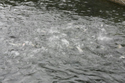 20100313_3.jpg