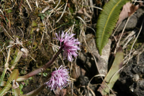 20100317_3.jpg