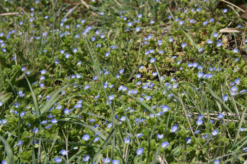 20100317_6.jpg