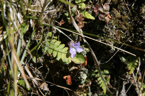 20100317_5.jpg
