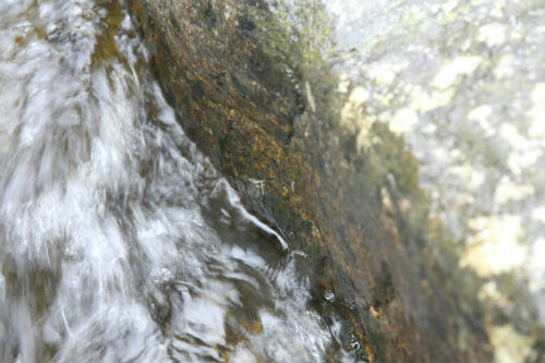 20100402_5.jpg