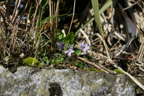 20100403_8.jpg