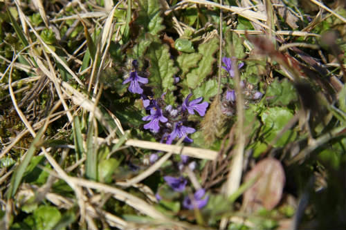 20100403_6.jpg