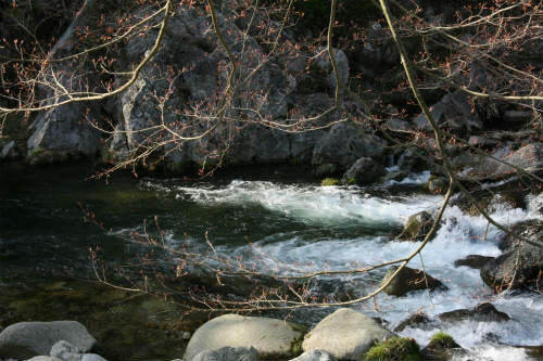 20100403_10.jpg
