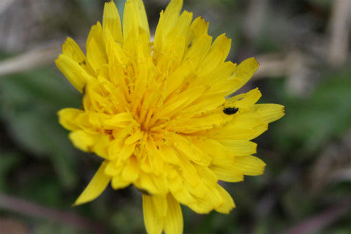 20100405_3.jpg