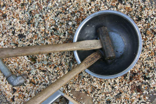 20100404_4.jpg