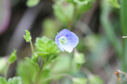 20100405_2.jpg