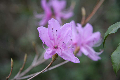 20100409_3.jpg