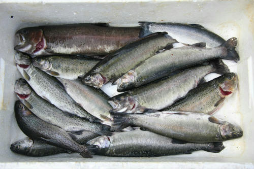 20100410_2.jpg