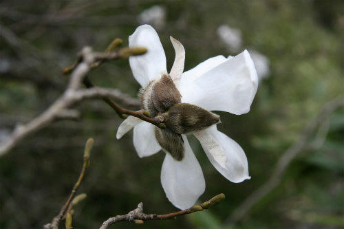 20100411_8.jpg