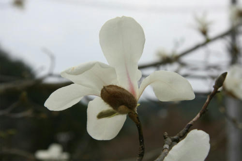 20100411_10.jpg