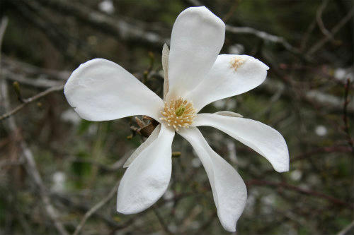 20100411_7.jpg