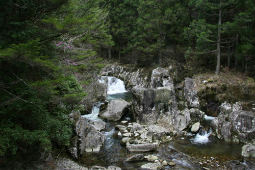 20100411_12.jpg