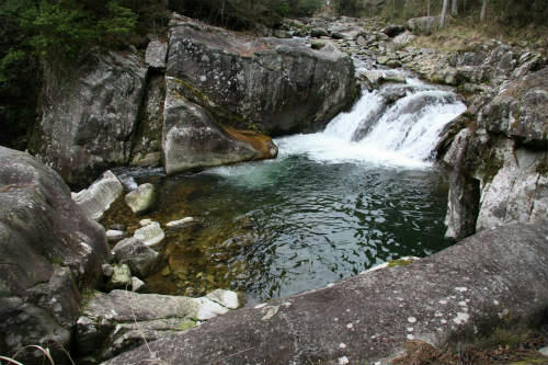 20100411_13.jpg