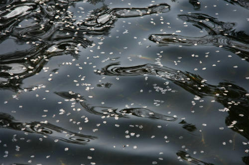 20100417_6.jpg