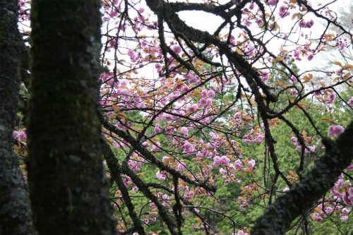 20100426_2.jpg