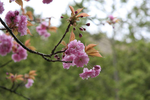 20100426_1.jpg
