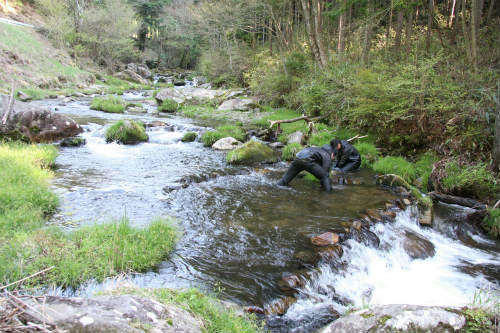 20100429_1.jpg